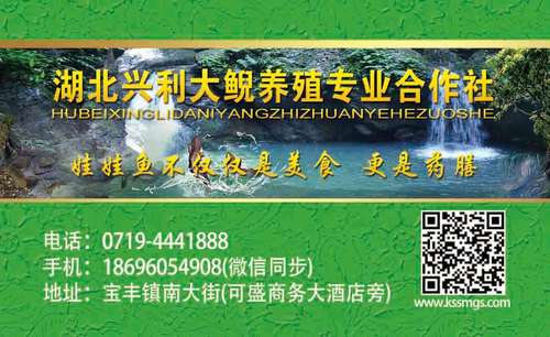 興利大鯢名片