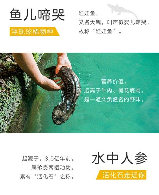 20190623