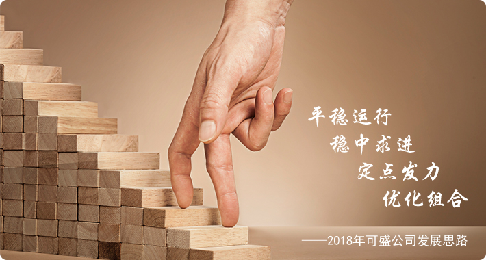 2018公司发展思路